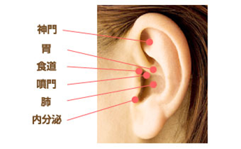 耳つぼ図解