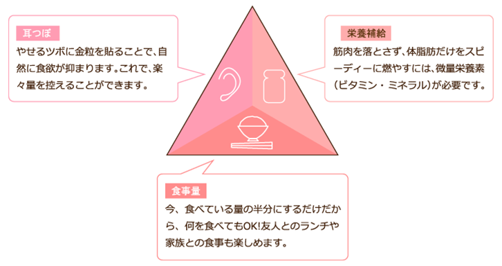 ＤＮＡ解析図解